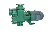 自吸式磁力驅(qū)動泵